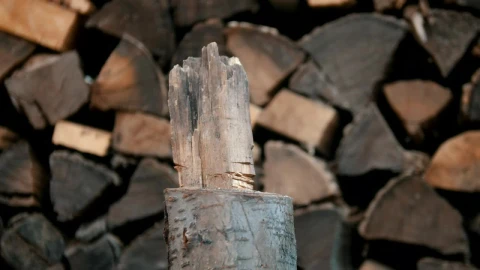 Video Stock Chopping Wood With An Axe Live Wallpaper For PC - Free Live Wallpaper