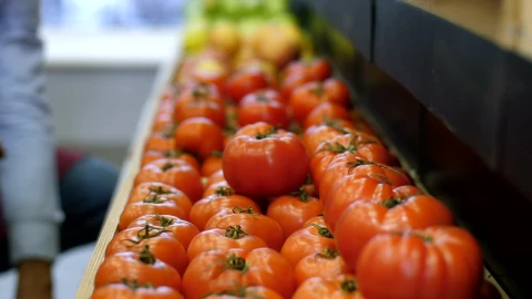 Video Stock Choosing Fresh Groceries At The Store Live Wallpaper For PC - Free Live Wallpaper