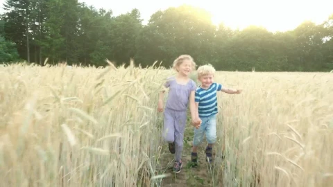 Video Stock Children Walking Through A Wheat Field At Summer Live Wallpaper For PC - Free Live Wallpaper