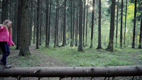 Video Stock Children Talking Along A Fallen Tree Live Wallpaper For PC - Free Live Wallpaper