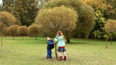 Video Stock Children Playing With A Tree Live Wallpaper For PC - Free Live Wallpaper
