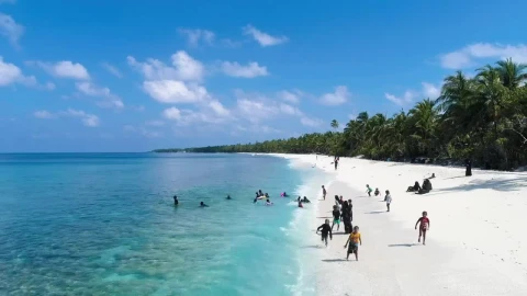 Video Stock Children Playing On The Beach Live Wallpaper For PC - Free Live Wallpaper