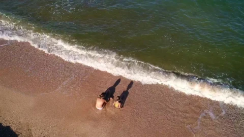 Video Stock Children Playing In The Seashore Top Aerial Shot Live Wallpaper For PC - Free Live Wallpaper