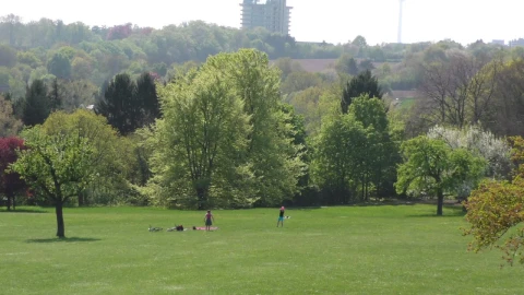 Video Stock Children Playing In The Park Seen From Afar Live Wallpaper For PC - Free Live Wallpaper