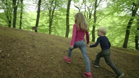Video Stock Children Petting A Deer Live Wallpaper For PC - Free Live Wallpaper
