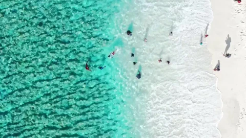 Video Stock Children On Beach Vacation Live Wallpaper For PC - Free Live Wallpaper