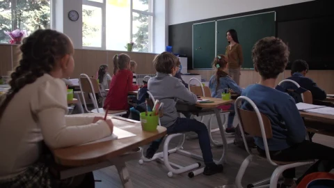 Video Stock Children In A Classroom Raising Their Hands Live Wallpaper For PC - Free Live Wallpaper