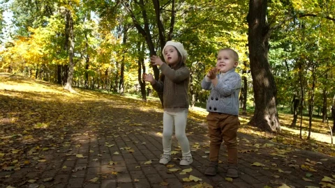 Video Stock Children Clapping Outside Live Wallpaper For PC - Free Live Wallpaper