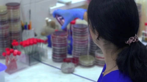 Video Stock Chemist Working With Viruses Samples In The Lab Live Wallpaper For PC - Free Live Wallpaper