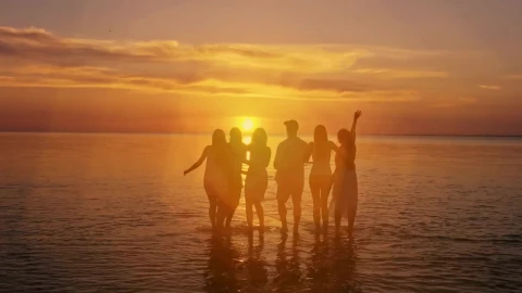 Video Stock Cheerful Friends Seeing The Sunset On The Beach Live Wallpaper For PC - Free Live Wallpaper