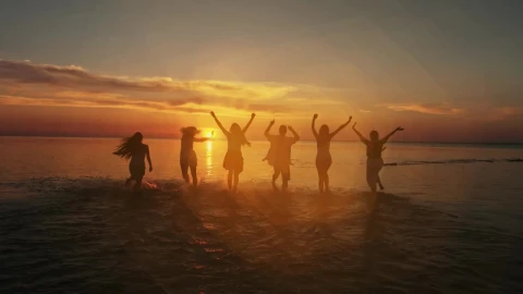 Video Stock Cheerful Friends At Their Beach Vacations Live Wallpaper For PC - Free Live Wallpaper
