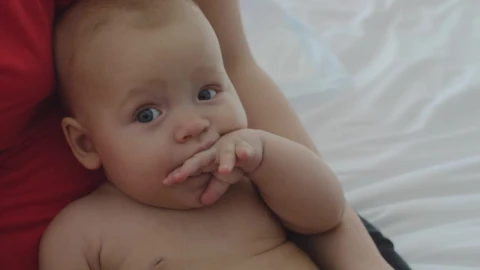 Video Stock Checking The Temperature Of Her Baby Live Wallpaper For PC - Free Live Wallpaper