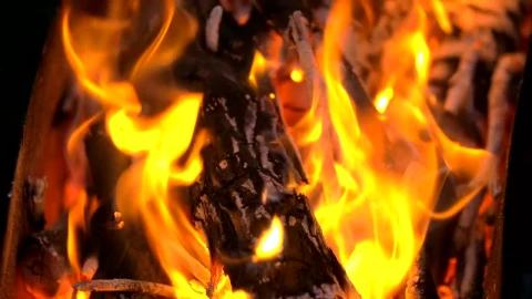Video Stock Charcoal And Wood Fire Burning Live Wallpaper For PC - Free Live Wallpaper
