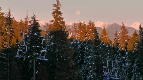 Video Stock Chairs Of A Cable Car In A Canadian Forest Live Wallpaper For PC - Free Live Wallpaper