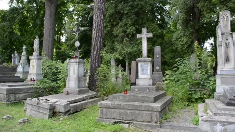 Video Stock Cemetery Surrounded By Trees Live Wallpaper For PC - Free Live Wallpaper