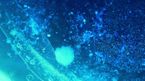 Video Stock Cellular Environment Under A Microscope Live Wallpaper For PC - Free Live Wallpaper