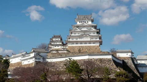 Video Stock Castle Complex In The Top Of The Hill Live Wallpaper For PC - Free Live Wallpaper