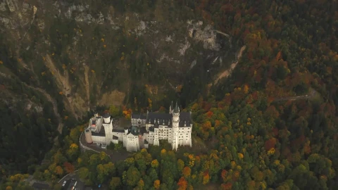 Video Stock Castillo En Medio De Un Bosque Desde El Aire Live Wallpaper For PC - Free Live Wallpaper