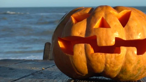 Video Stock Carved Halloween Pumpkin Live Wallpaper For PC - Free Live Wallpaper
