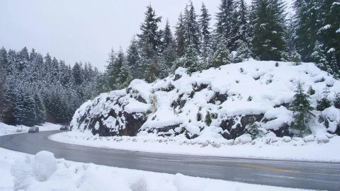 Video Stock Cars Turning In A Curve In A Snowy Forest Live Wallpaper For PC - Free Live Wallpaper