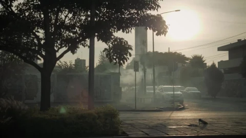 Video Stock Cars Driving Under A Tree Live Wallpaper For PC - Free Live Wallpaper