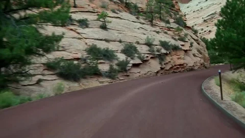 Video Stock Cars Driving Through Zion National Park Live Wallpaper For PC - Free Live Wallpaper