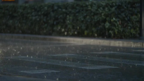 Video Stock Cars Driving Through Rainfall Live Wallpaper For PC - Free Live Wallpaper