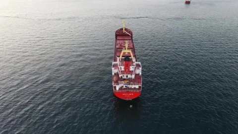 Video Stock Cargo Ships Sailing In The Ocean Live Wallpaper For PC - Free Live Wallpaper