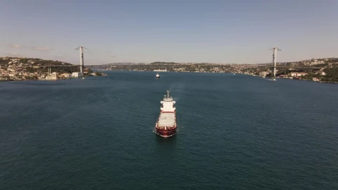 Video Stock Cargo Ship Leaving The Coast Of A City Live Wallpaper For PC - Free Live Wallpaper