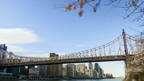 Video Stock Cargo Boat Heading Below A Bridge In Nyc Live Wallpaper For PC - Free Live Wallpaper