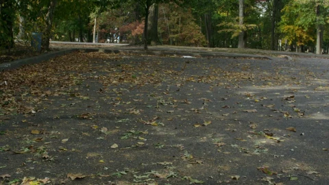 Video Stock Car Parking Under A Tree Live Wallpaper For PC - Free Live Wallpaper