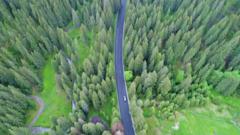 Video Stock Car On A Road Through The Forest And Meadow Live Wallpaper For PC - Free Live Wallpaper