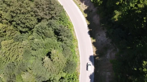 Video Stock Car Going Slowly In A Road Between Nature Live Wallpaper For PC - Free Live Wallpaper