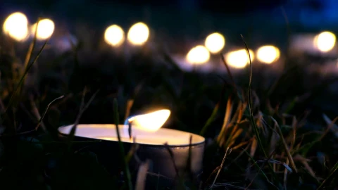 Video Stock Candles In The Garden At Night Live Wallpaper For PC - Free Live Wallpaper