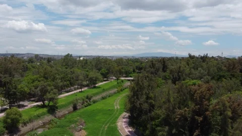 Video Stock Canal In A Huge Park In An Aerial View Live Wallpaper For PC - Free Live Wallpaper