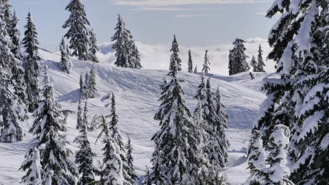 Video Stock Canadian Mountain Peak Environment Live Wallpaper For PC - Free Live Wallpaper