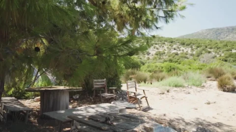 Video Stock Camping In A Desert Forest Live Wallpaper For PC - Free Live Wallpaper