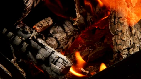 Video Stock Campfire With A Log Almost In Ashes Live Wallpaper For PC - Free Live Wallpaper