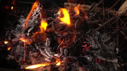 Video Stock Campfire Made With Branches Live Wallpaper For PC - Free Live Wallpaper