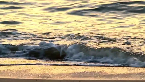 Video Stock Calm Waves Breaking On An Empty Beach Live Wallpaper For PC - Free Live Wallpaper