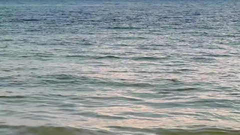 Video Stock Calm Ocean Near The Shore Live Wallpaper For PC - Free Live Wallpaper