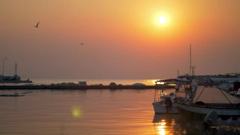 Video Stock Calm Harbor Waters Before Sunset Live Wallpaper For PC - Free Live Wallpaper