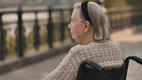 Video Stock Calm Elderly Woman In Wheelchair In A Park Live Wallpaper For PC - Free Live Wallpaper