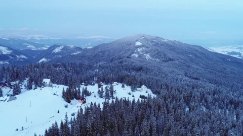 Video Stock Cabins In The Middle Of A Winter Forest Live Wallpaper For PC - Free Live Wallpaper