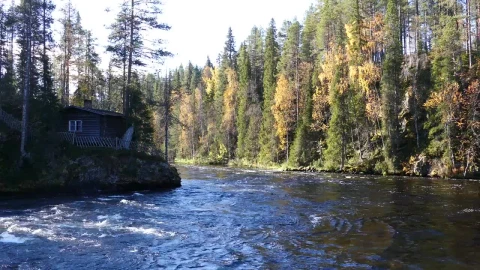 Video Stock Cabin In The Woods And A River Live Wallpaper For PC - Free Live Wallpaper
