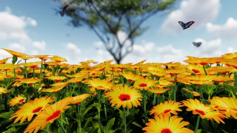 Video Stock Butterflies In A Sunflower Field Live Wallpaper For PC - Free Live Wallpaper