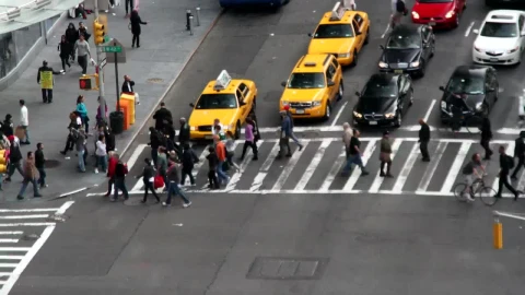 Video Stock Busy Street In The City Live Wallpaper For PC - Free Live Wallpaper