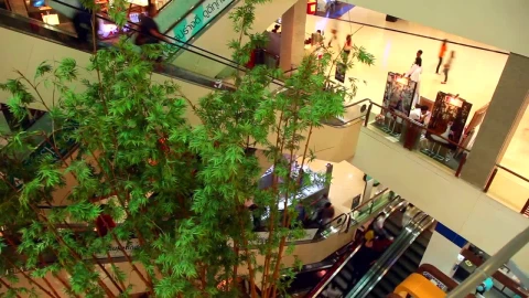 Video Stock Busy Mall Escalator Timelapse Live Wallpaper For PC - Free Live Wallpaper