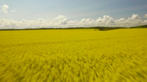 Video Stock Clouds On The Horizon Live Wallpaper For PC - Free Live Wallpaper