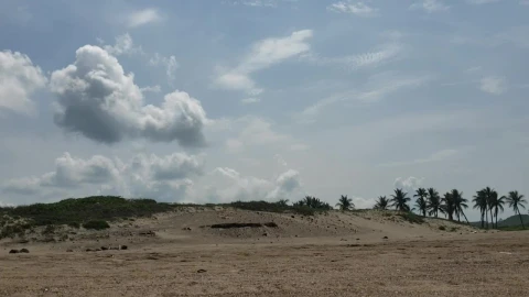 Video Stock Clouds In The Sky Over Beach Palms Live Wallpaper For PC - Free Live Wallpaper